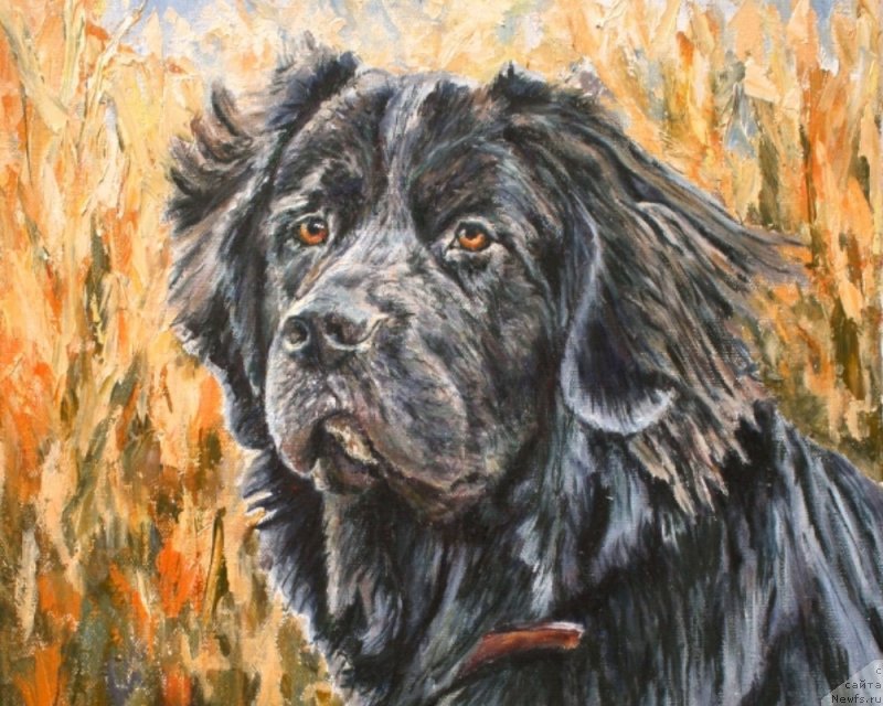 Фотография № 244948