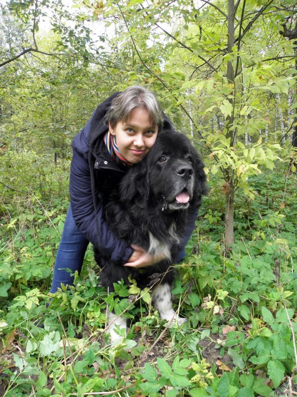 Фото: ньюфаундленд Старбимовлав Гардемарин, Катерина