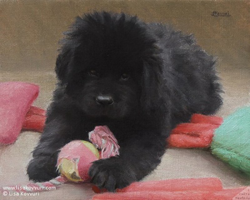 Фотография № 244971