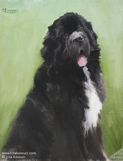 Фотография № 244974