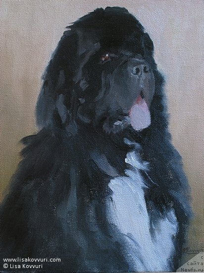 Фотография № 244976