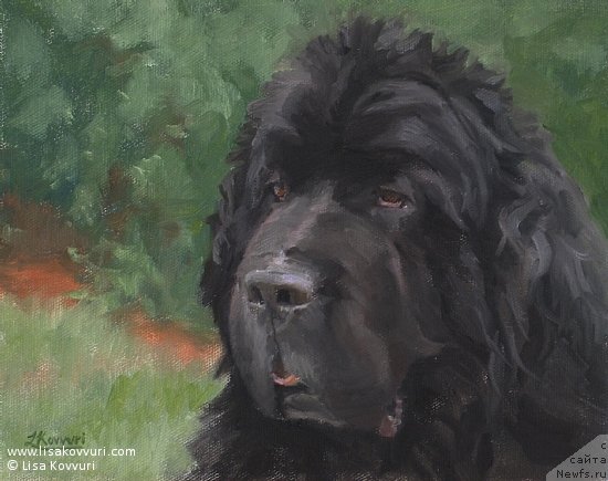 Фотография № 244977