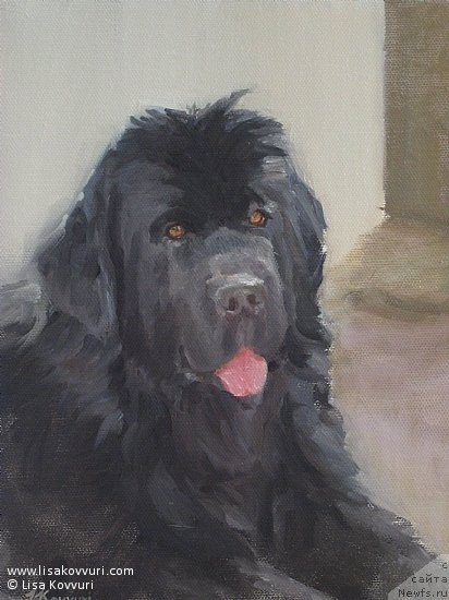 Фотография № 244978