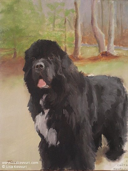 Фотография № 244979