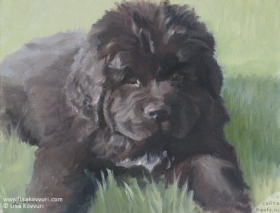 Фотография № 244980