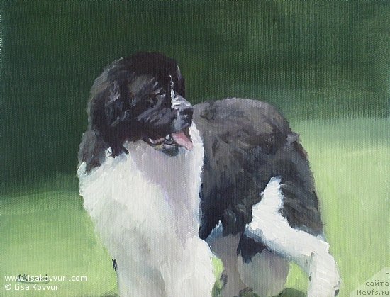 Фотография № 244981