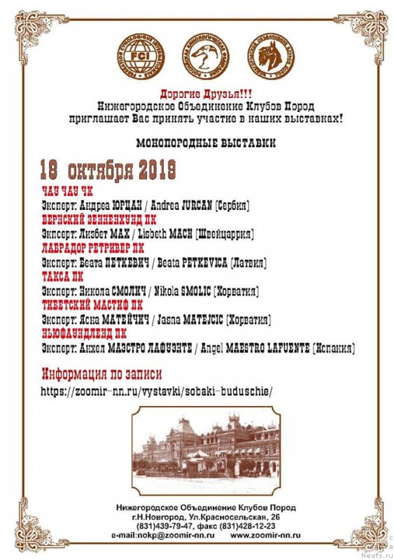 Фотография № 244994