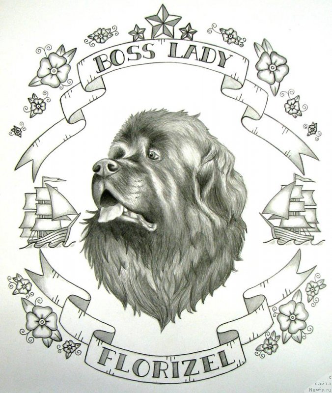 Фотография № 245009