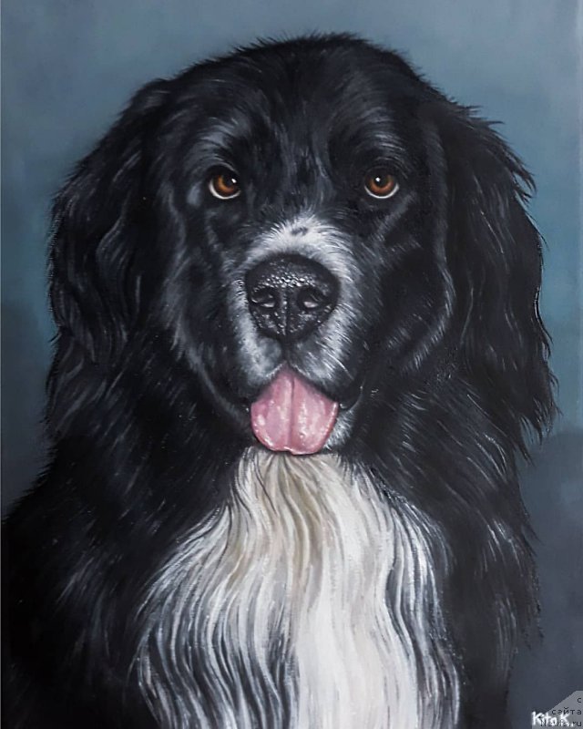 Фотография № 245040