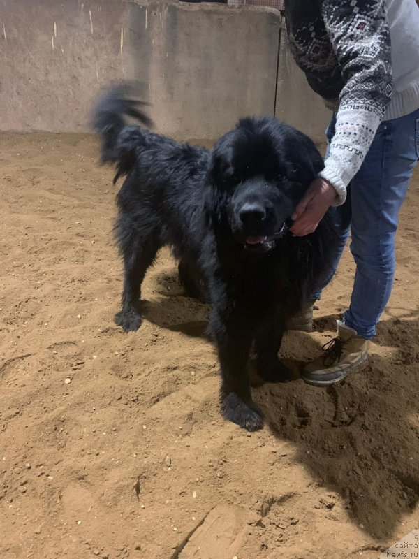 Фотография № 245041