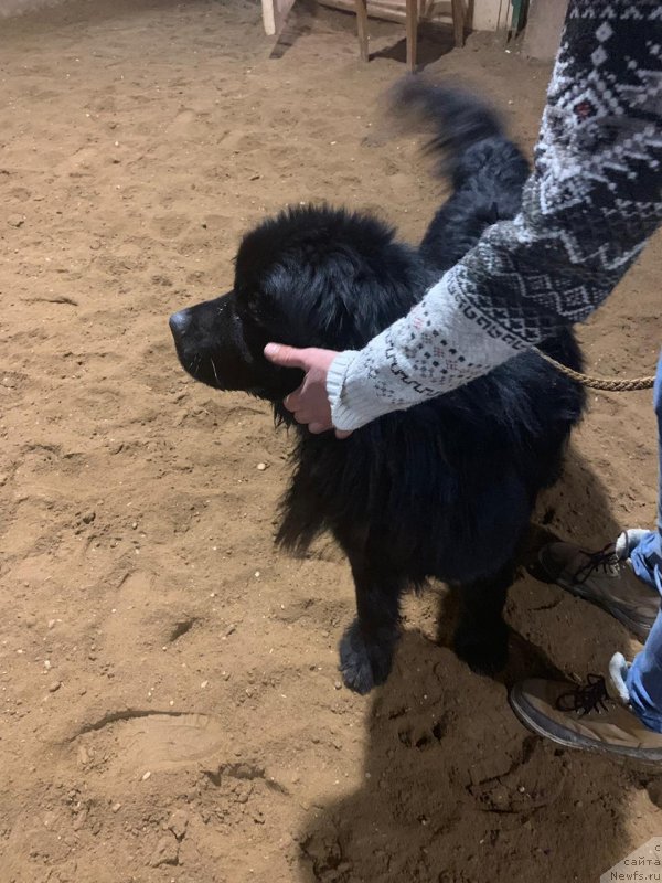 Фотография № 245042