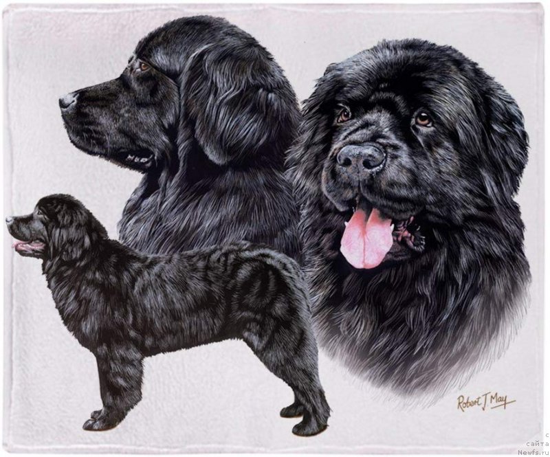 Фотография № 245074