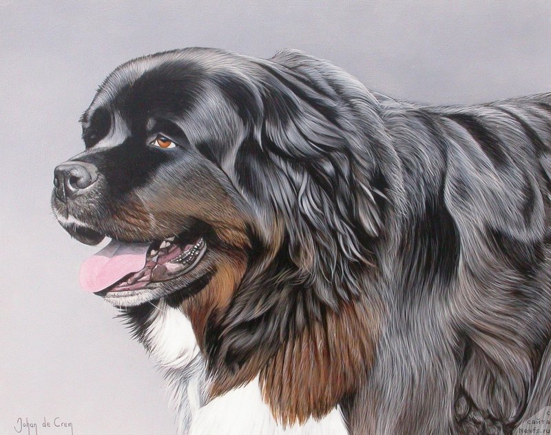 Фотография № 245092