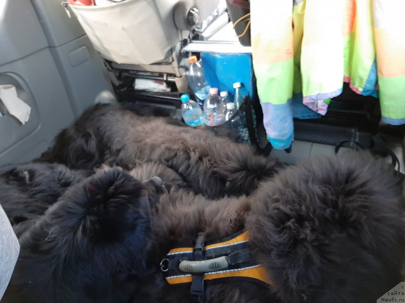 Фотография № 245102