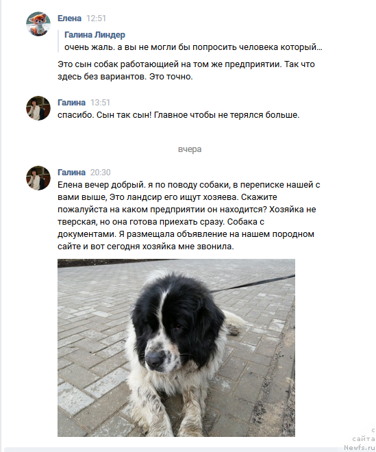 Фотография № 245107