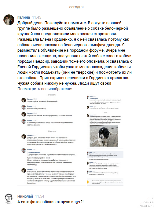 Фотография № 245109