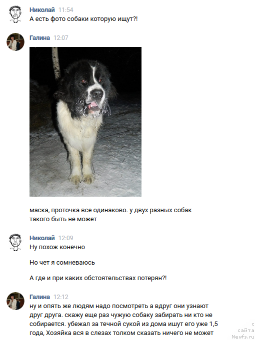 Фотография № 245110