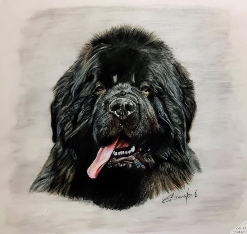 Фотография № 245116