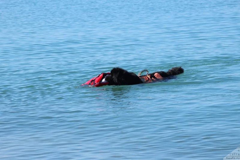 Фотография № 245117