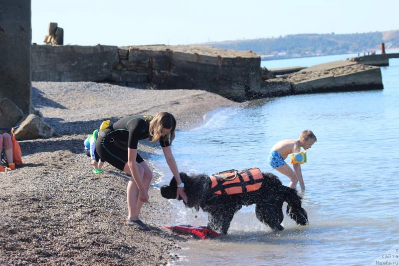 Фотография № 245118