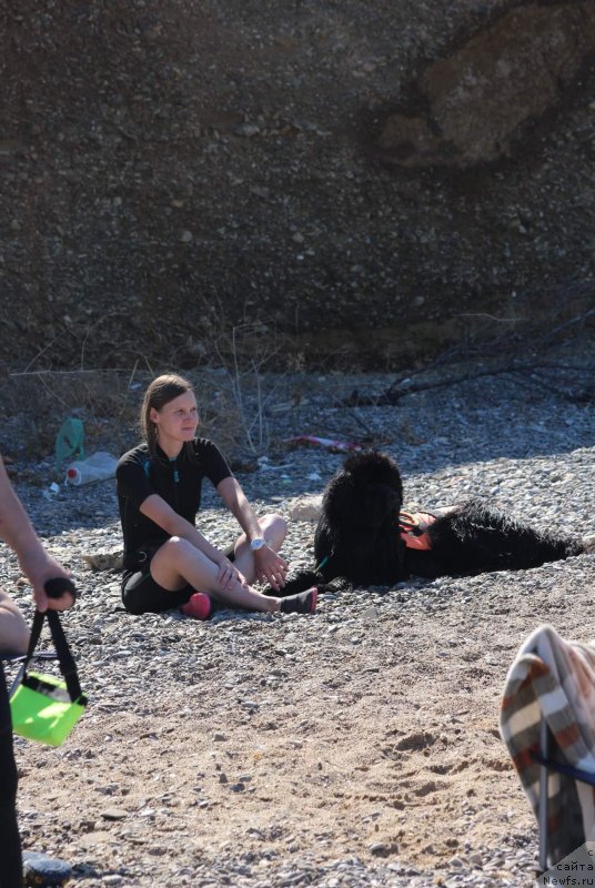 Фотография № 245120