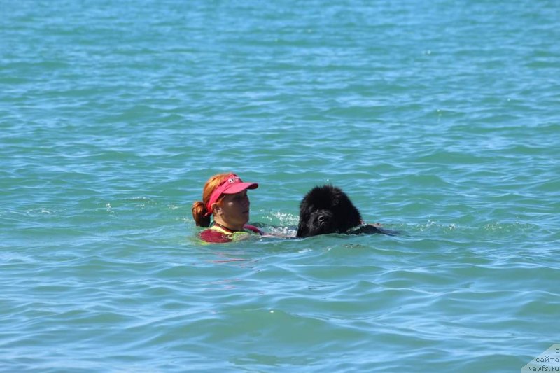 Фотография № 245123