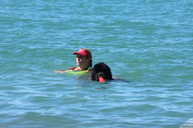 Фотография № 245124