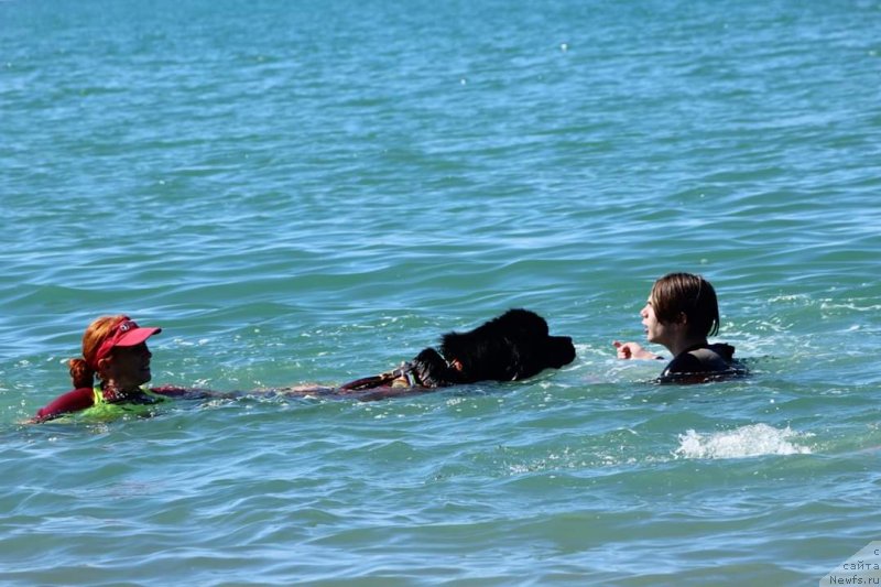 Фотография № 245125