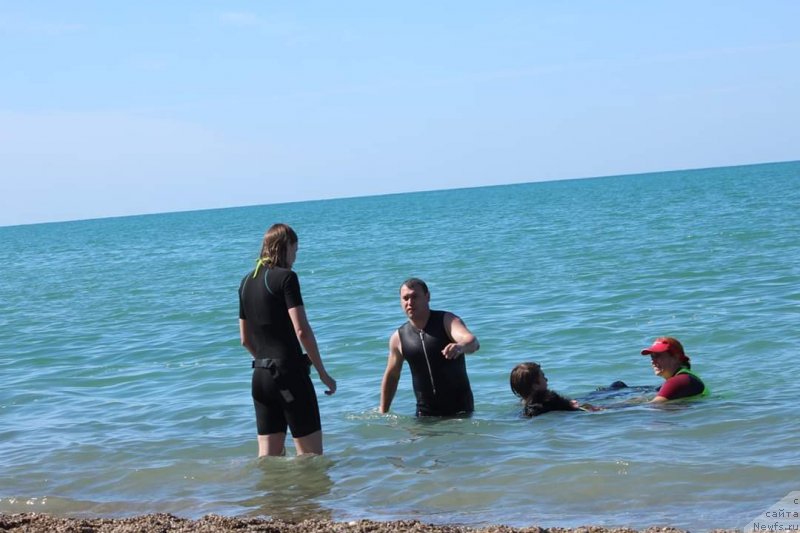 Фотография № 245126