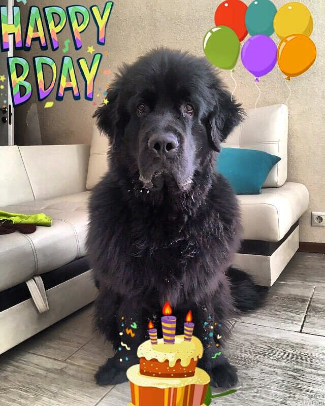 Фото: Екатерина Калашникова