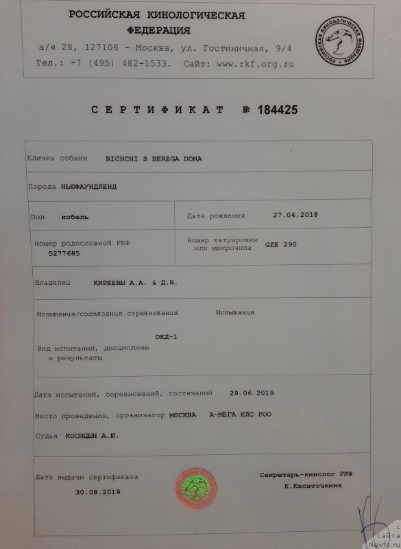 Фото: ньюфаундленд Риччи с Берега Дона (Richchi s Berega Dona)