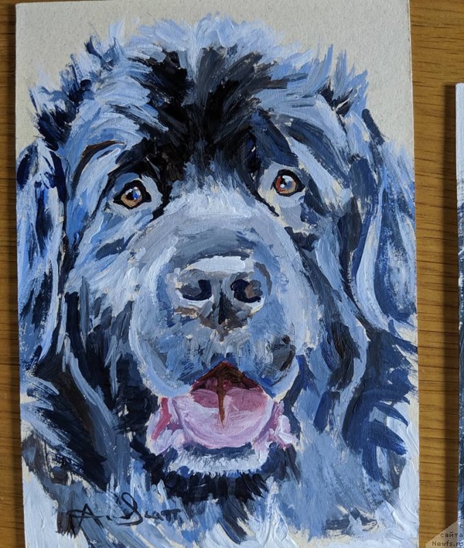 Фотография № 245144