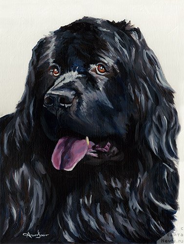 Фотография № 245151