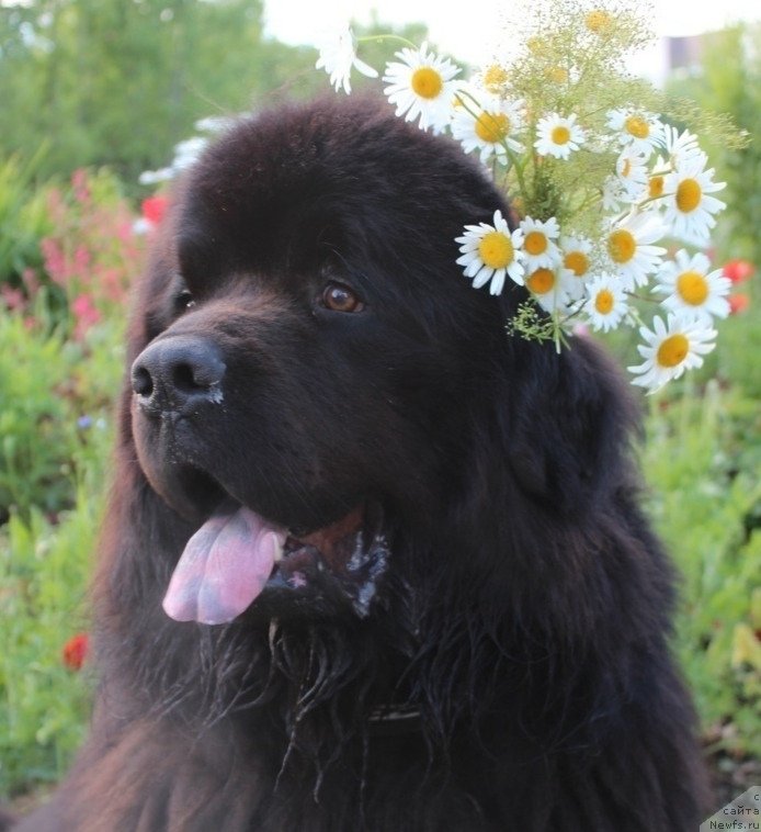 Фотография № 245156