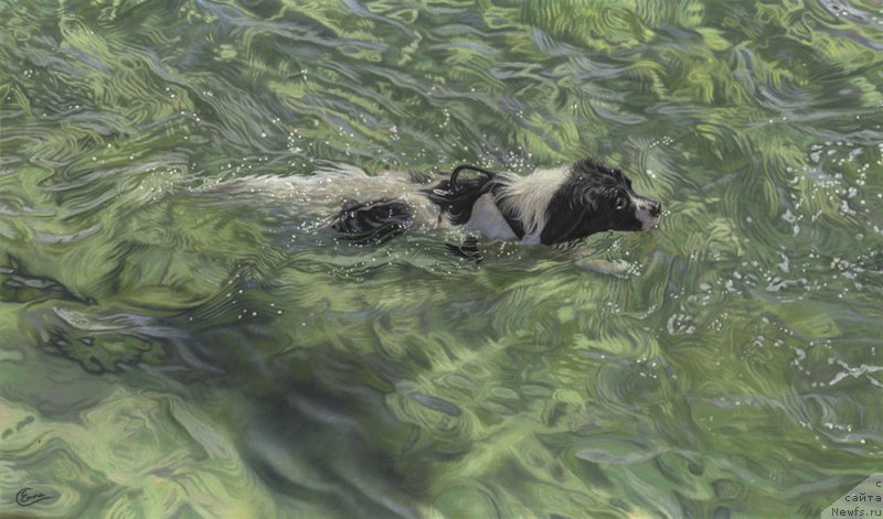 Фотография № 245159