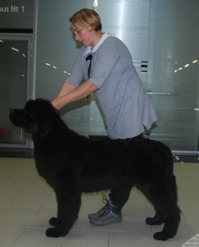 Фотография № 245165