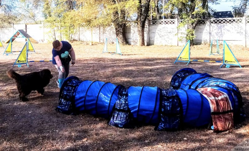 Фотография № 245174