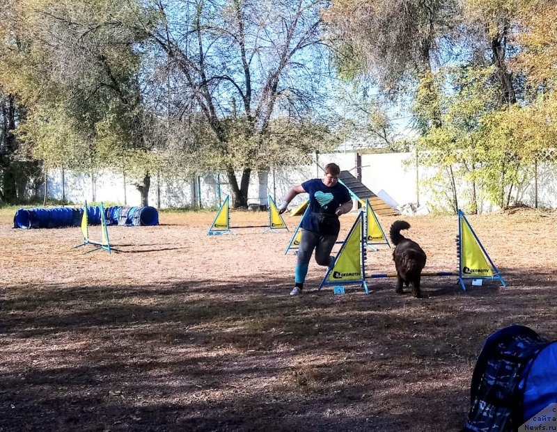 Фотография № 245175