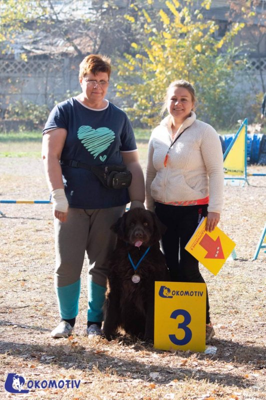 Фотография № 245180