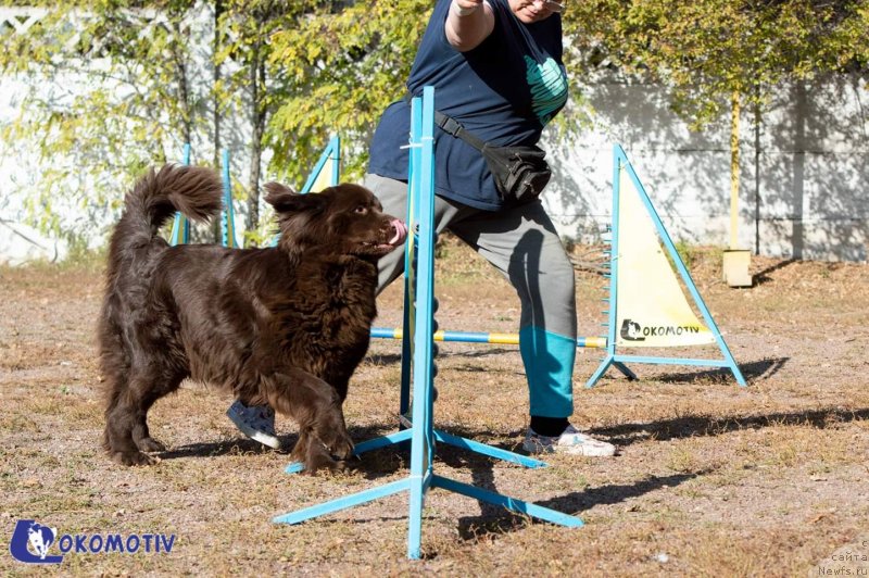 Фотография № 245181