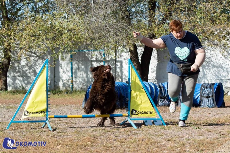 Фотография № 245182