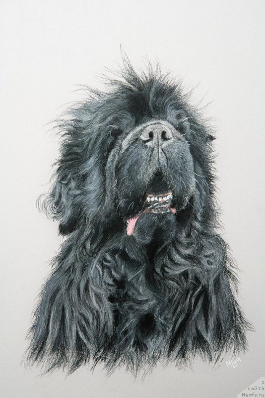 Фотография № 245184