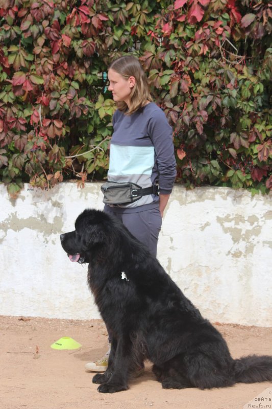 Фотография № 245262