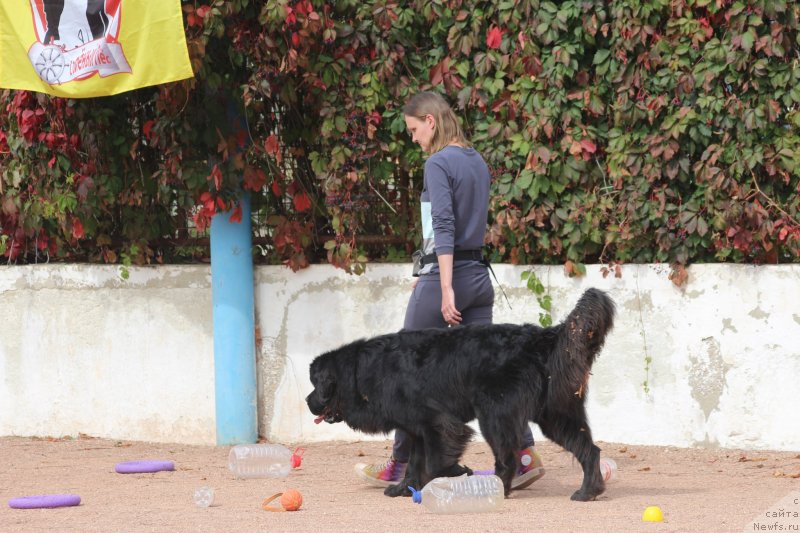 Фотография № 245263