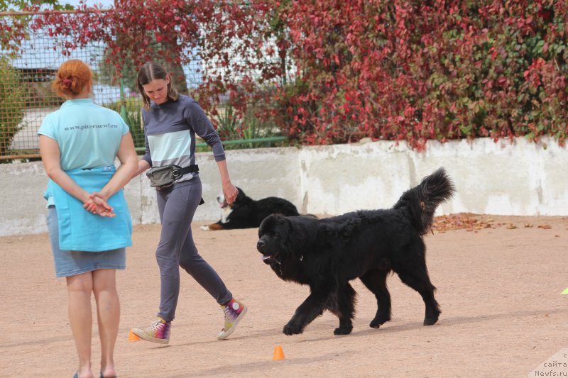 Фотография № 245264