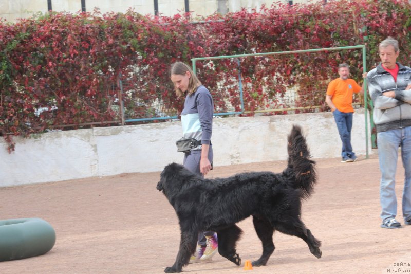 Фотография № 245265