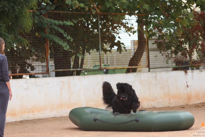 Фотография № 245268