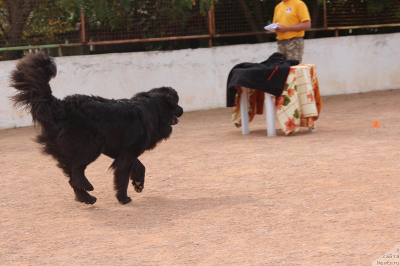 Фотография № 245270