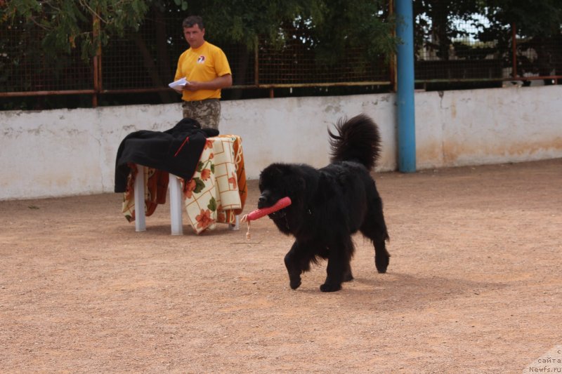 Фотография № 245271