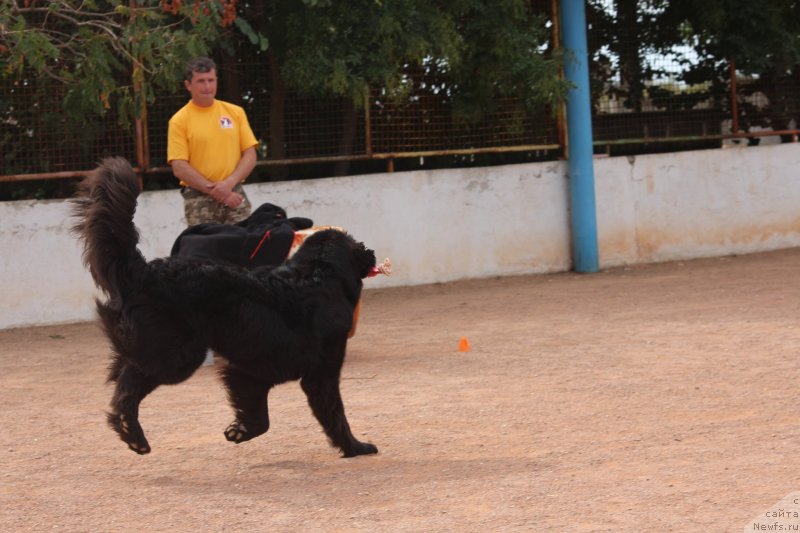 Фотография № 245274